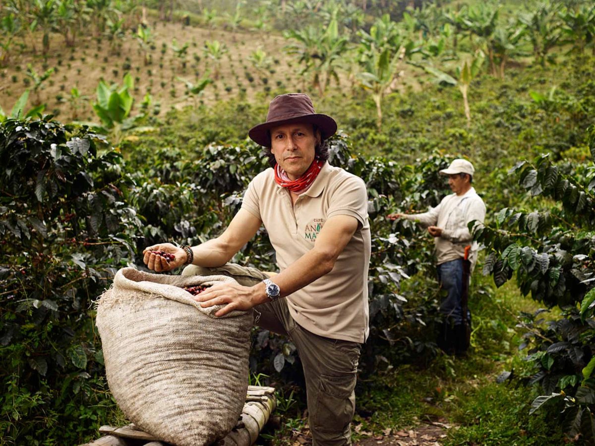 tours en el Eje Cafetero